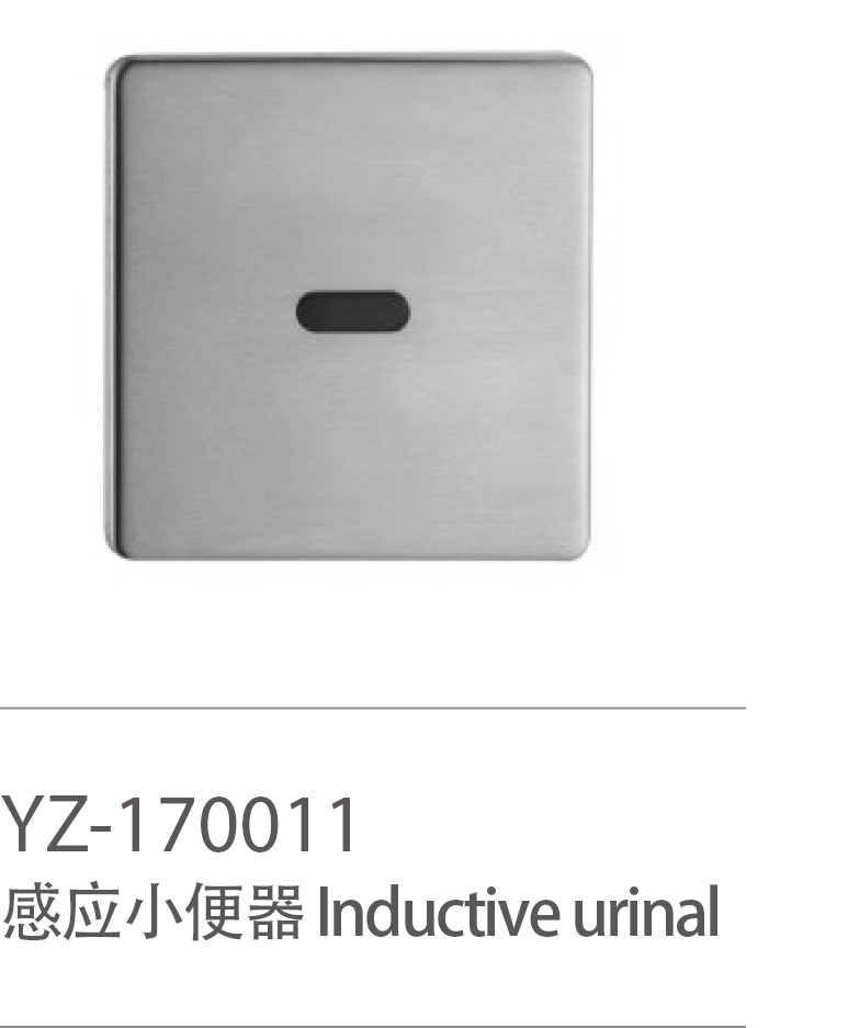 YZ-170011